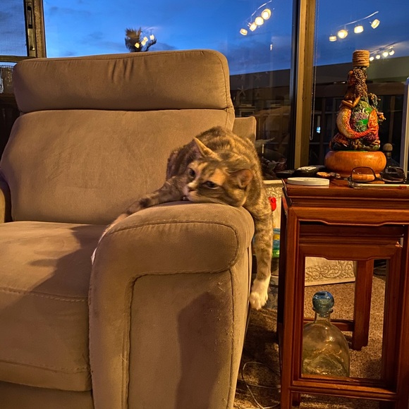 Meet your Posher, Michele - Picture 14 of 16